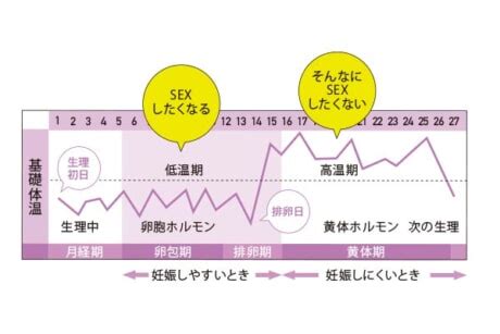 生理 終わり かけ 性欲|「生理中のエッチ事情」、あまり聞けないけど本当は知りたい！ .